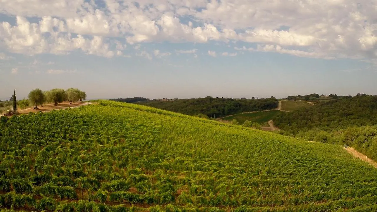 Chianti B&B Design Infinity Pool Shared Pianella  住宿加早餐酒店 Pianella (Siena)